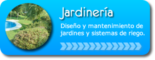 Diseño y mantenimiento de jardines en Madrid.